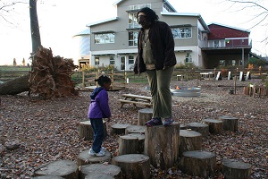 Tree stump jump