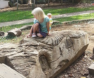 Carved climbing log