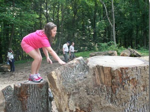 Stump climbing