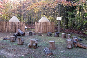 Turtle-shaped tree stump ring