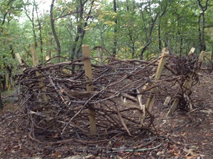 Birds nest play area