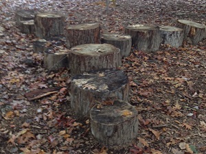 Stump climbing