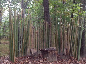 Natural seating area