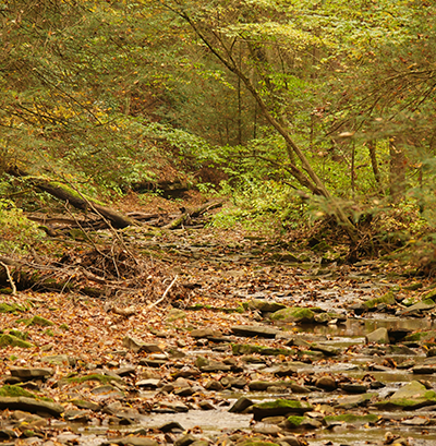 Big Run State Park stream