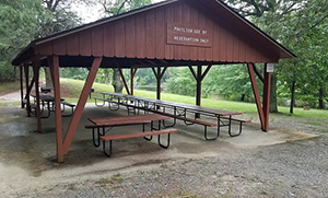 Picnic Pavilion at Calvert Clifffs State Park