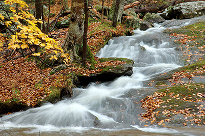 Cunningham Falls in the spring