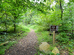 Cunningham Falls State Park Hiking Trail