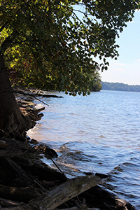 Chapman State Park on the water