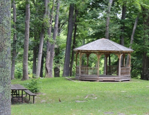 casselman river picnic area