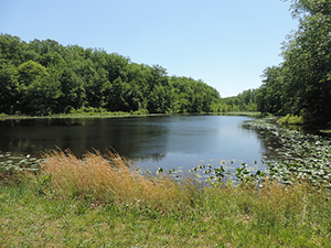 Cedarville_FishingPond.png