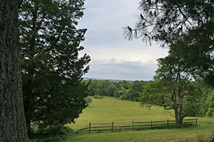 Chapman State Park Scenic View