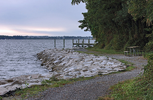 Shoreline at Greenwell State Park