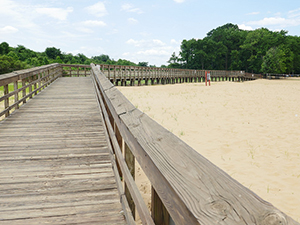 Board walk trail on Hart-Miller Island