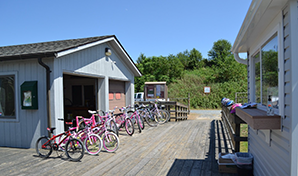 Hart-Miller Bike Rentals