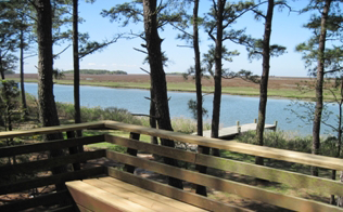 Daugherty Lodge View from upstairs deck