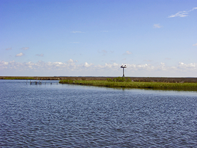 Photo of scenic Janes Island