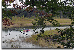 The Mattaponi at Merkle Wildlife Sanctuar.