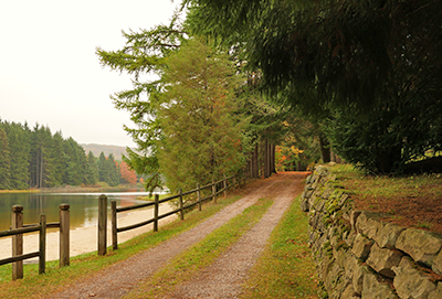 New Germany State Park Trail