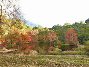 Fish for Fun Pond in Pocomoke River State Park