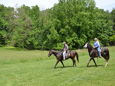 Horseback riding at Patuxent River State Park