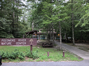 Nature Center in Pocomoke River State Park