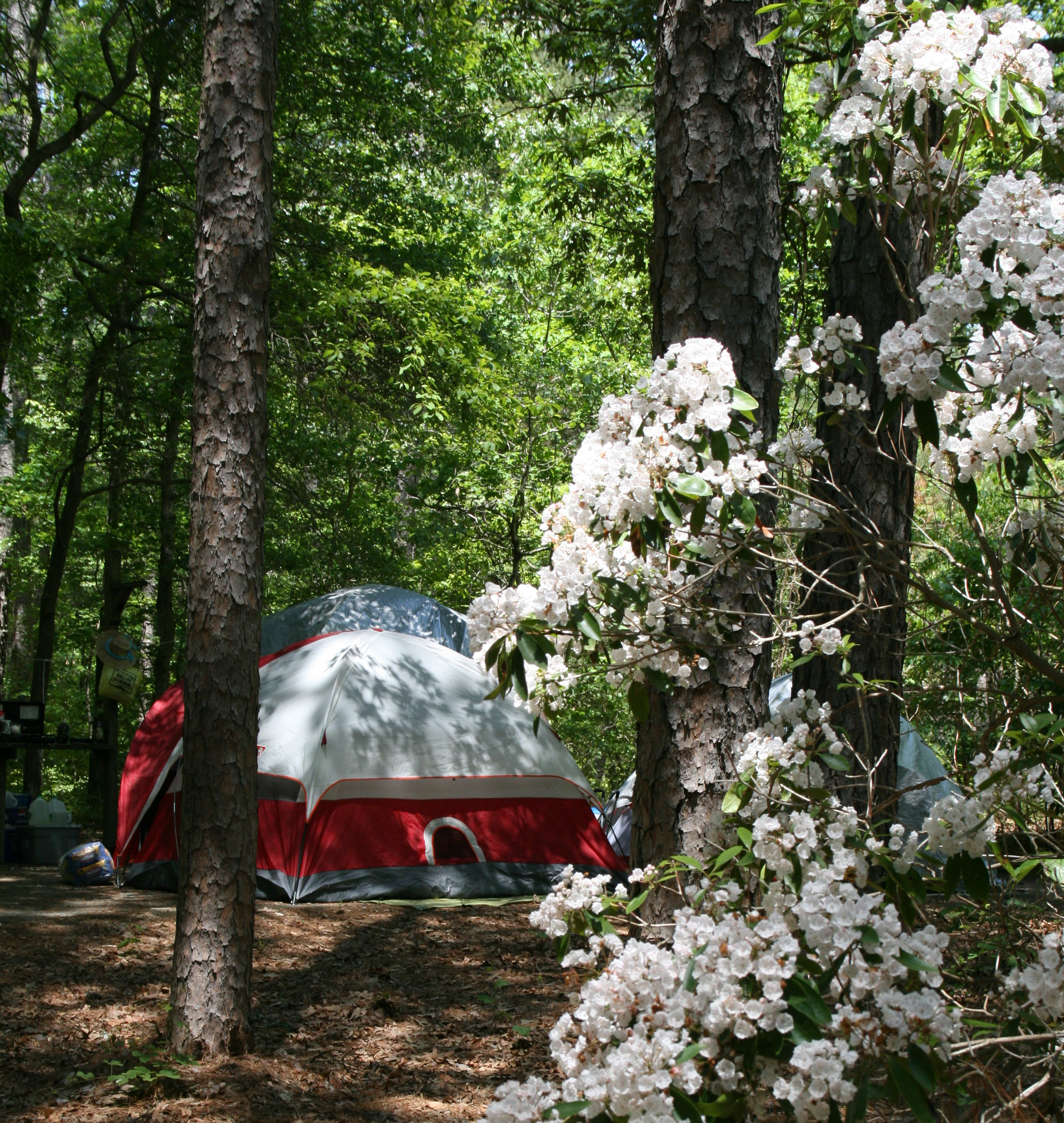 Camping in Shad Landing