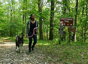 McKeldin Area -Switchback Trail