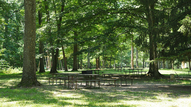 Rocks Picnic Area, photo by Nathan Simms