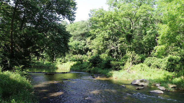 Deer Creek in Rocks State Park by Stephen Badger