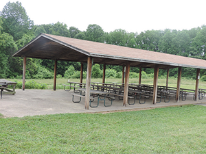 Pavilion in Rosayville State Park