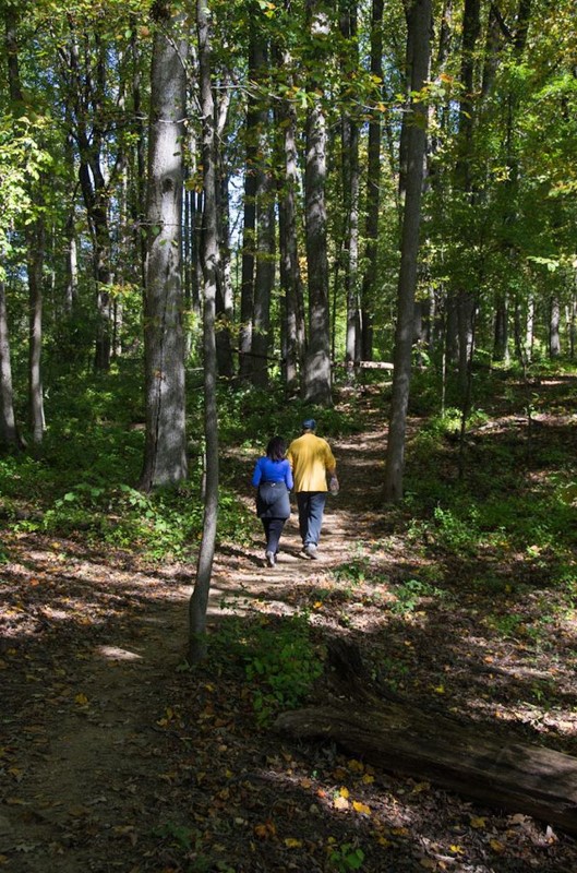 Hiking