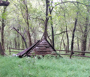 Woodland Estates in Seneca Creek State Park