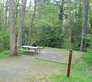 Swallow Falls State Park Camp site