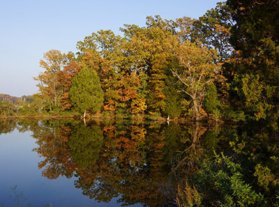 SMRSP_Scenic_Autumn_StMarysTourism.png