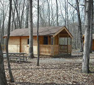 Cabin in Tuckahoe State Park