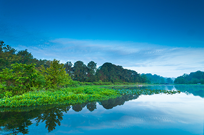 Tuckahoe State Park Scenic Lake, photo by Michael Carter