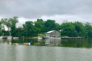 Turners Creek - Kent County Park