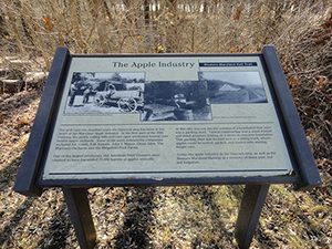 Interpretive Signage on the trail