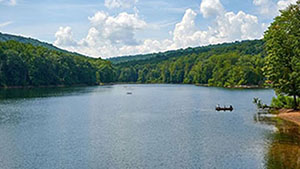 Water with Tree Line