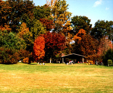 Accessible picnic pavilion