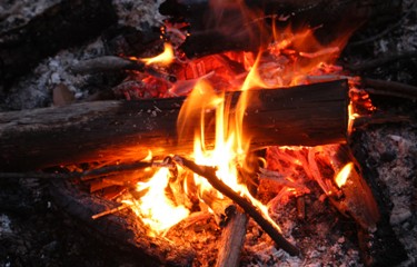 Campfire at a state park