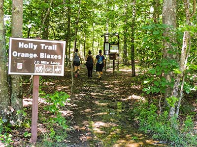 hikers on a well marked trail