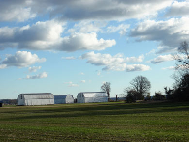 Barns at Newtowne Neck State Park