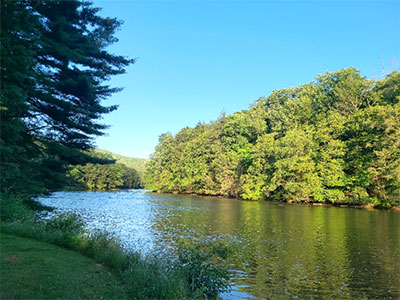 Grassy ares by the river