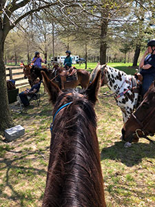 Riders on horses getting ready to go out