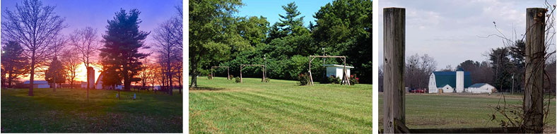 Equestrian center barn and riding area