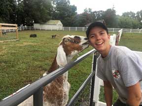 VCC member playing with a goat