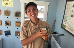 VCC member at a nature center holding a turtle