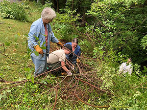 volunteer clean up