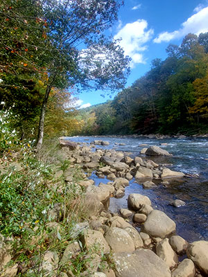 Wolf Den Run from Potomac State Forest overlook